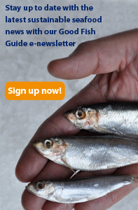 Sign up to receive our e-newsletter